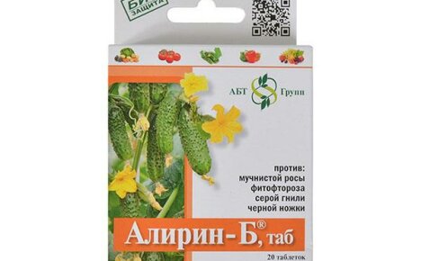 Alirin-B preparation: instructions for use of the fungicide