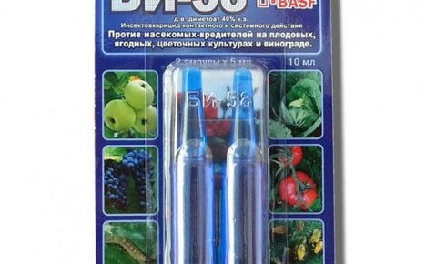 New insecticide BI-58 - instructions for use for each individual case