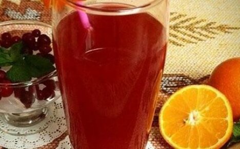 Att laga en hälsosam drink - tranbärsjuice