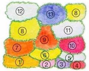 Pflanzschema für Blumenbeete
