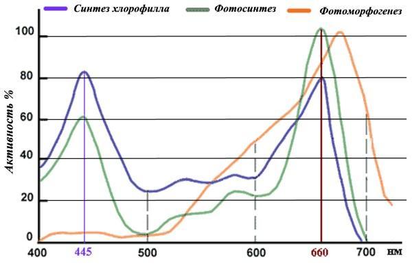 Spektrum účinnosti spektra pro sazenice