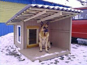Кучешка къща
