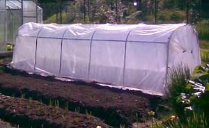 Photo of a greenhouse for cucumbers