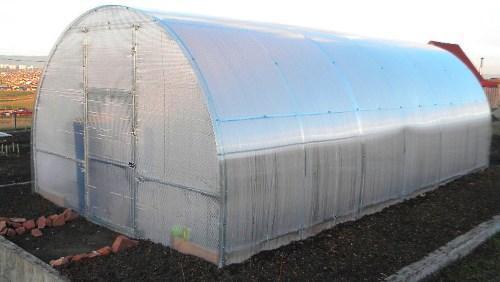 Växthusutrustning för odling av gurkor