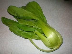 leafy Chinese cabbage