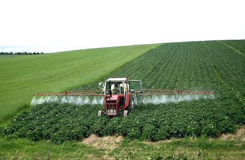 Treatment of maps of the field with herbicides