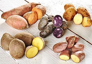 Batatas multicoloridas