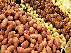 Kartoffeln verschiedener Sorten