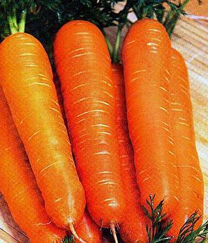 Carrot ng Nantes