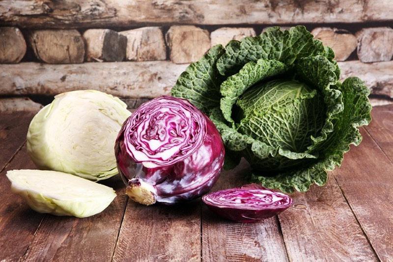 types of cabbage
