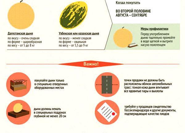 What you need to know when buying a melon
