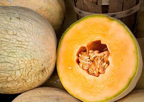 Wählen Sie zum Einfrieren eine süße aromatische Melone