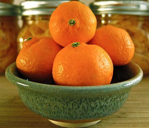 O óleo saudável é obtido a partir de frutas de tangerina