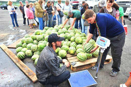Es wird nicht empfohlen, Wassermelonen am Rand der Gleise zu kaufen