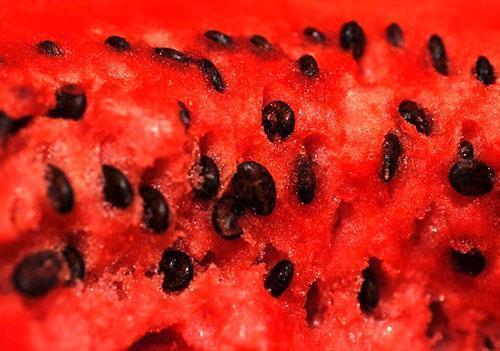 Watermeloenzaden hebben helende eigenschappen