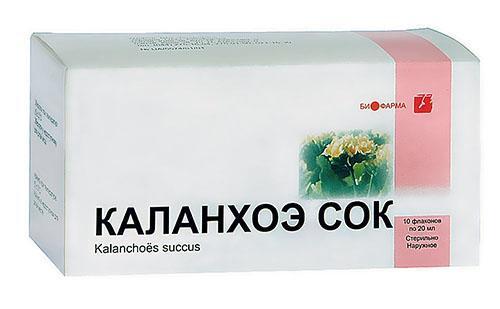 Šťáva Kalanchoe se prodává v lékárně