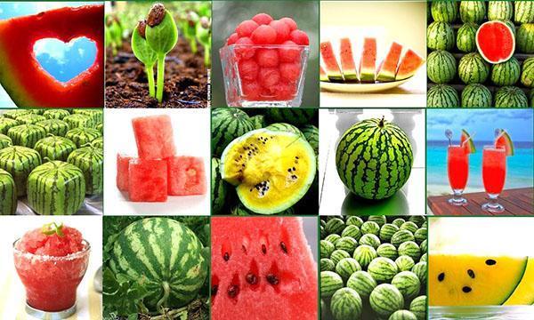 Sucul de pepene verde are un efect benefic asupra tuturor organelor