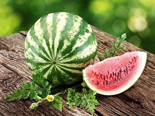 Eet watermeloenen tijdens massale rijping