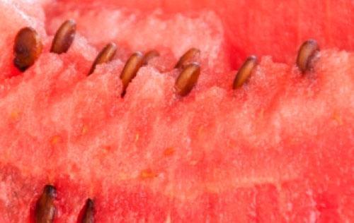 Er zitten veel nuttige stoffen in het vruchtvlees van watermeloen.