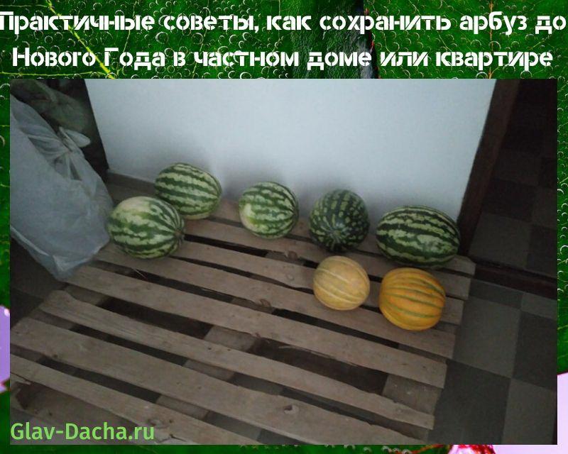 how to keep a watermelon until the new year