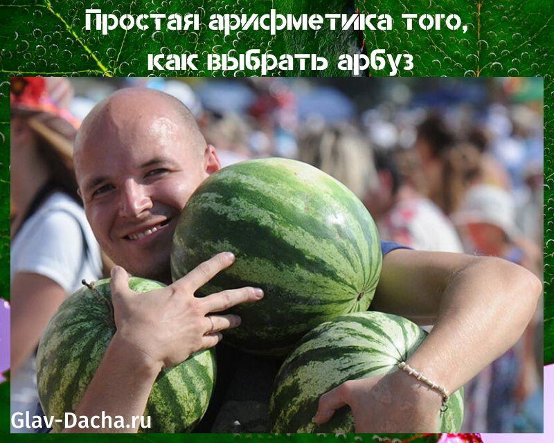 hur man väljer en vattenmelon