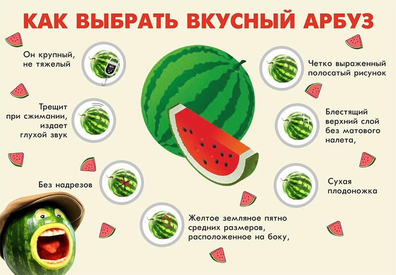 Wählen Sie eine köstliche Wassermelone