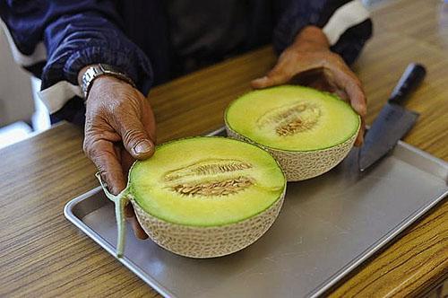 Diabetiker können unreife Melonenfrüchte konsumieren