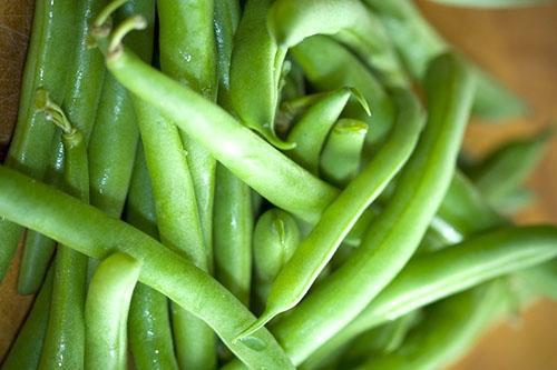 For freezing, choose thick and juicy bean pods.