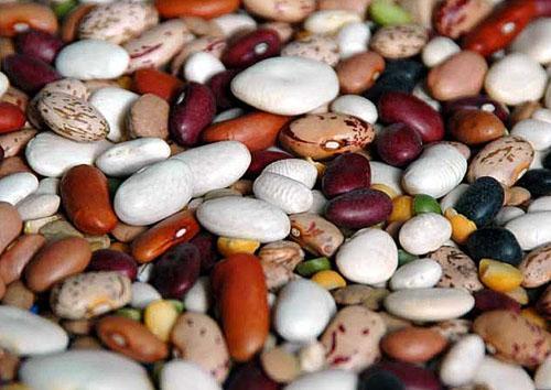 Beans of different varieties