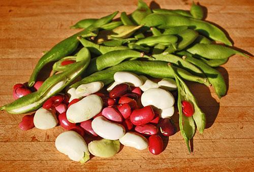 Zelené i zralé fazole mají příznivé vlastnosti
