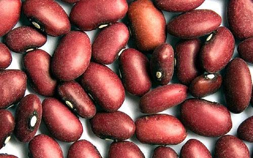 Red bean fruit