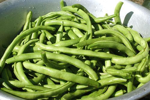 Preparing asparagus beans for freezing