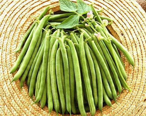 Zdravé zelené fazole