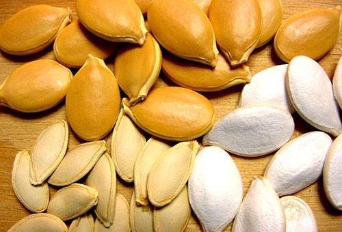 Tekvicové semiačka sú bohaté na vitamíny a minerály