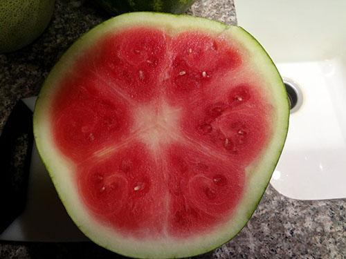 The first watermelons often show white or yellow streaks.