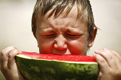 Anstelle von Süße ist das Fruchtfleisch einer frühen Wassermelone bitter.