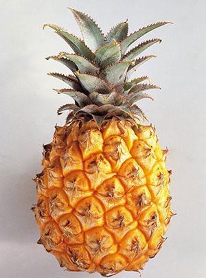 Pineapple has a high concentration of vitamin C