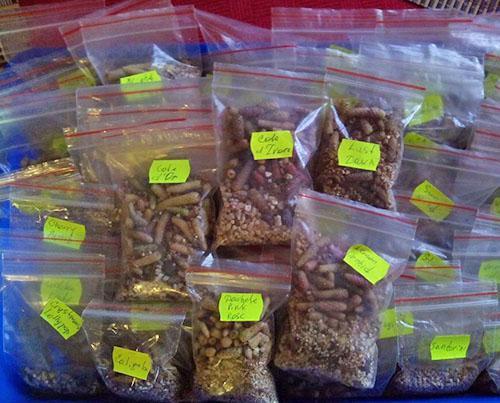 Conservation des rhizomes dans des sacs sous vide avec perlite
