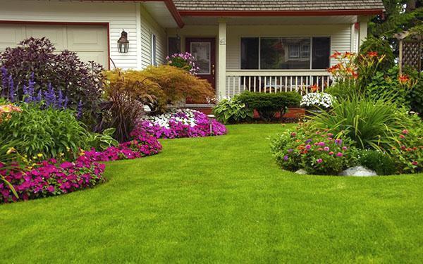 Тревата може да украси и най-скромния двор