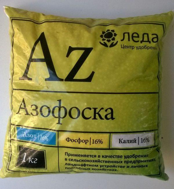 أزوفوسكا