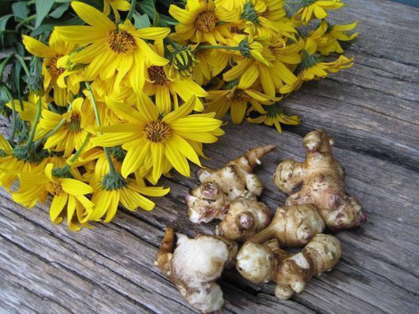 Cvjetovi artičoke iz jeruzalema i krumpir