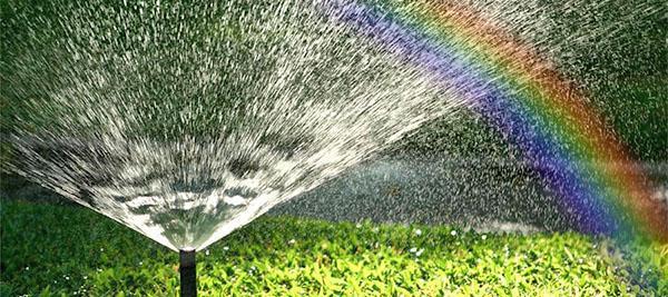 Il sistema di irrigazione è di facile manutenzione