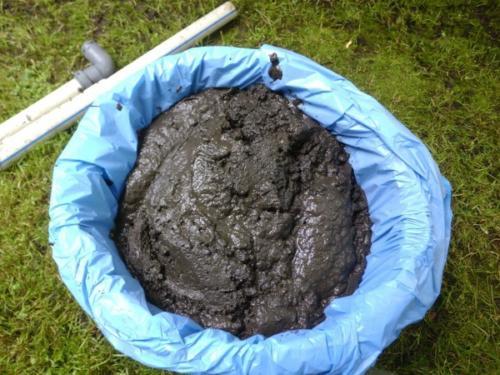 Sludge from a septic tank