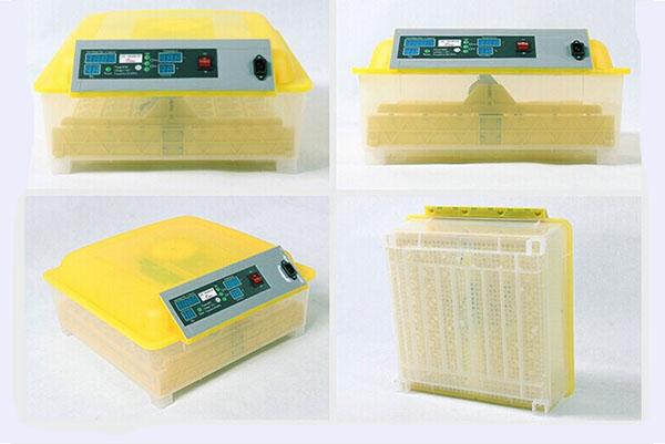 Household plastic incubator