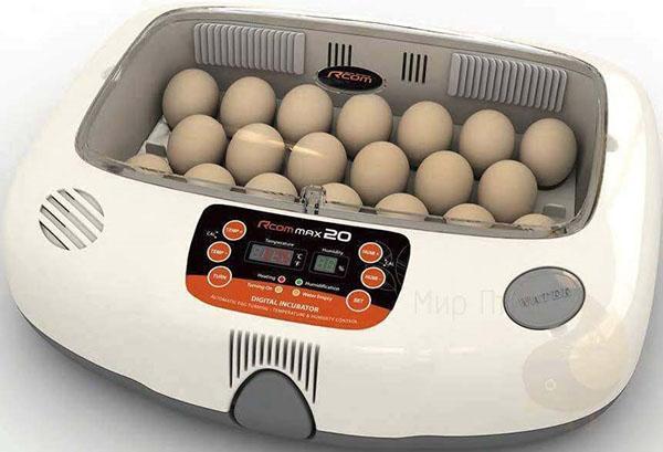 Inkubator z automatycznym obracaniem jaj