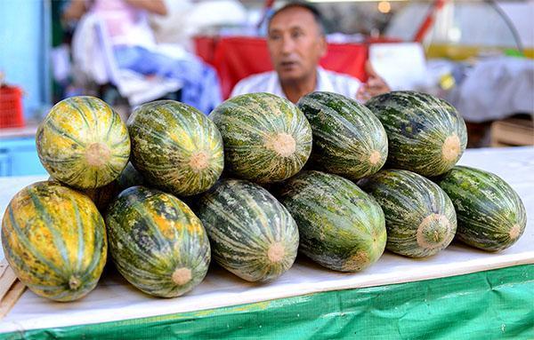 Melon Ich-kzyl Uzbek 331