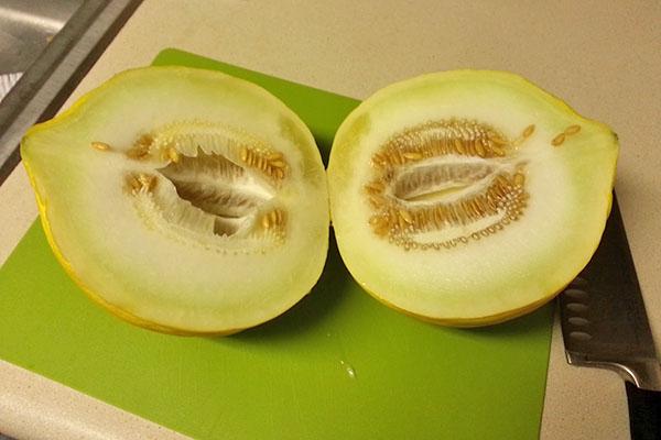 Melons d'été kassaba