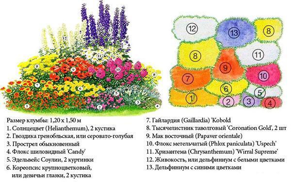 Çiçek bahçesi planı No.2