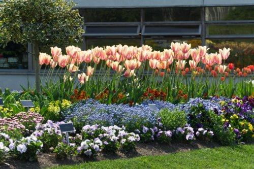 A good example of a flower bed