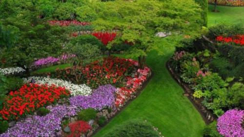 Beautiful long-lasting flower bed